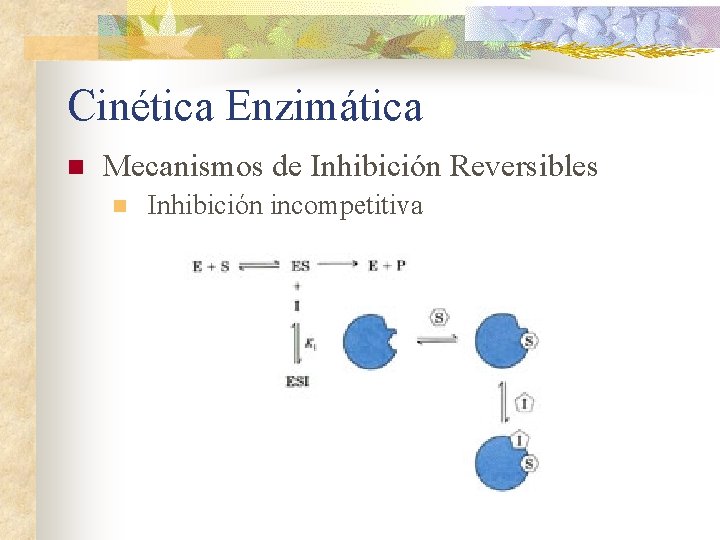 Cinética Enzimática n Mecanismos de Inhibición Reversibles n Inhibición incompetitiva 