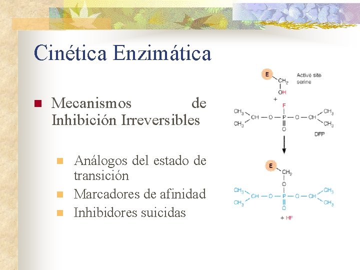 Cinética Enzimática n Mecanismos de Inhibición Irreversibles n n n Análogos del estado de