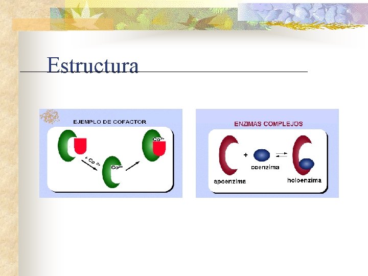 Estructura 