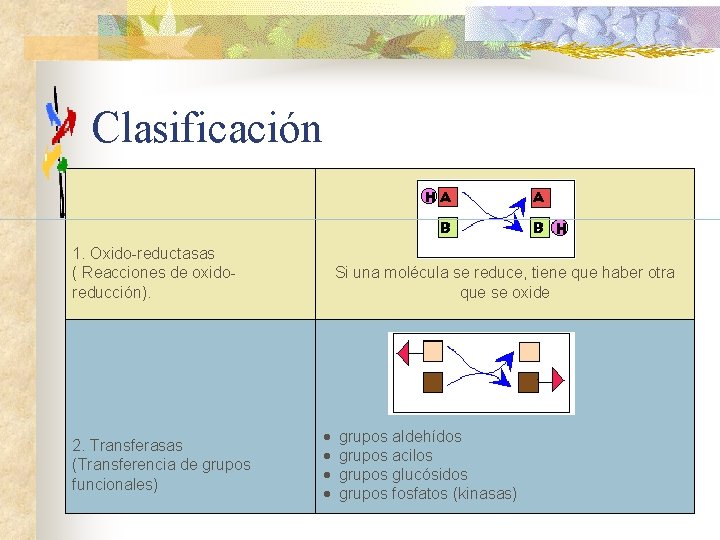 Clasificación 1. Oxido-reductasas ( Reacciones de oxidoreducción). 2. Transferasas (Transferencia de grupos funcionales) Si