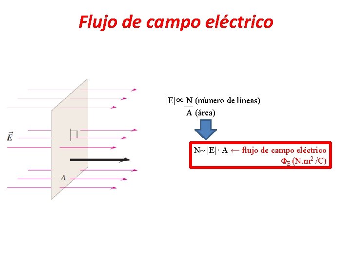 Flujo de campo eléctrico |E|∝__ N (número de líneas) A (área) N~ |E| •