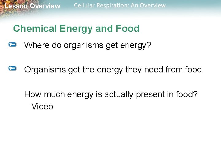 Lesson Overview Cellular Respiration: An Overview Chemical Energy and Food Where do organisms get