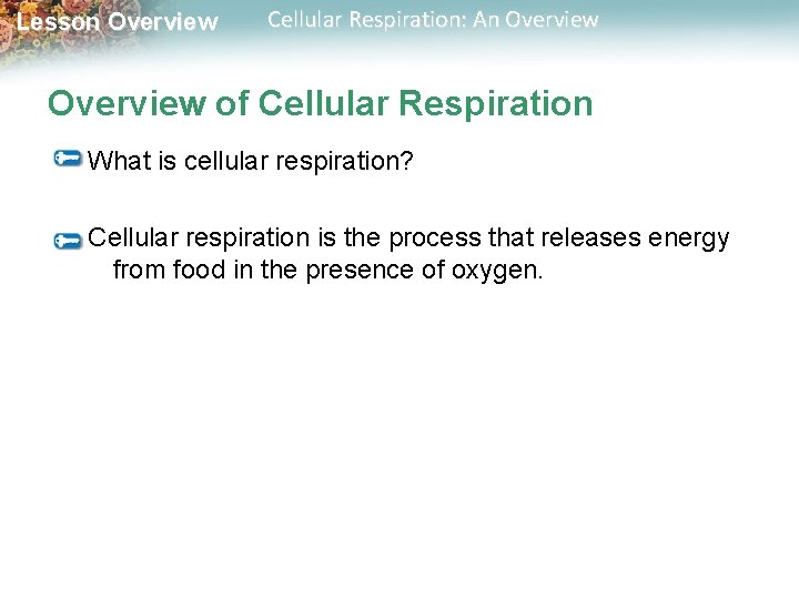 Lesson Overview Cellular Respiration: An Overview of Cellular Respiration What is cellular respiration? Cellular