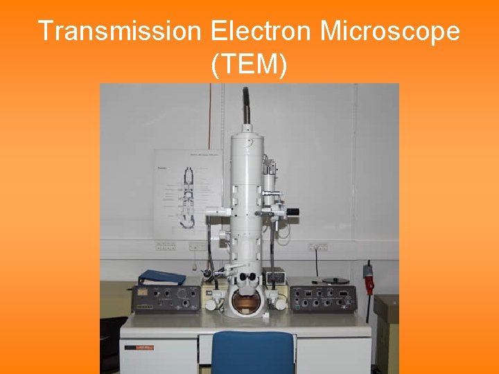 Transmission Electron Microscope (TEM) 