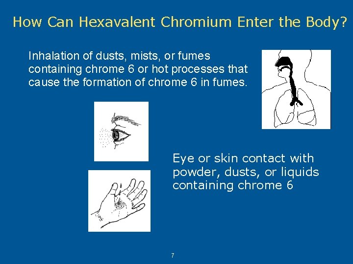 How Can Hexavalent Chromium Enter the Body? Inhalation of dusts, mists, or fumes containing How Can Hexavalent Chromium Enter the Body? Inhalation of dusts, mists, or fumes containing