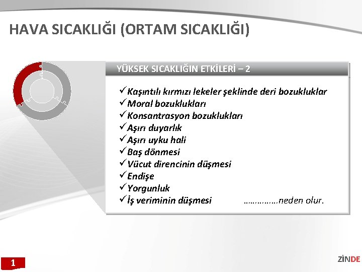 HAVA SICAKLIĞI (ORTAM SICAKLIĞI) YÜKSEK SICAKLIĞIN ETKİLERİ – 2 üKaşıntılı kırmızı lekeler şeklinde deri