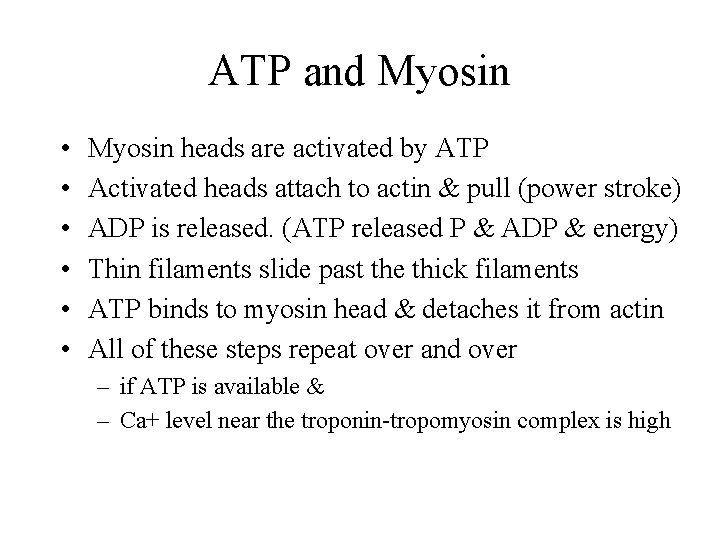 ATP and Myosin • • • Myosin heads are activated by ATP Activated heads