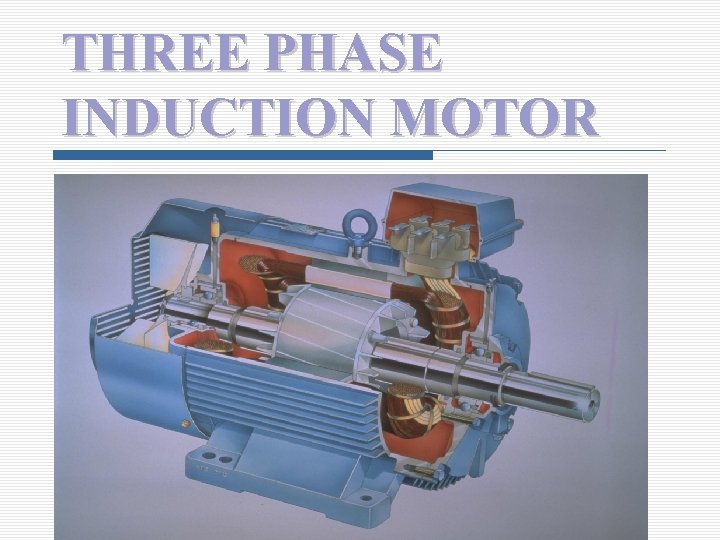 THREE PHASE INDUCTION MOTOR 