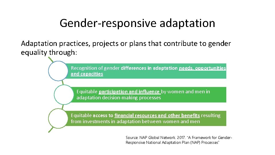 Gender-responsive adaptation Adaptation practices, projects or plans that contribute to gender equality through: Recognition