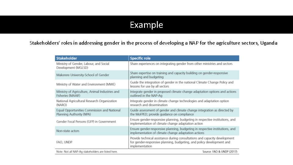 Example Stakeholders’ roles in addressing gender in the process of developing a NAP for
