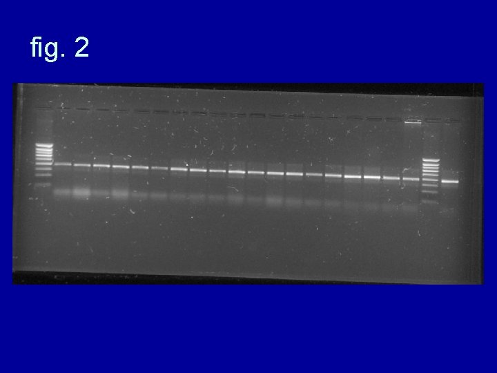 fig. 2 fig. 2