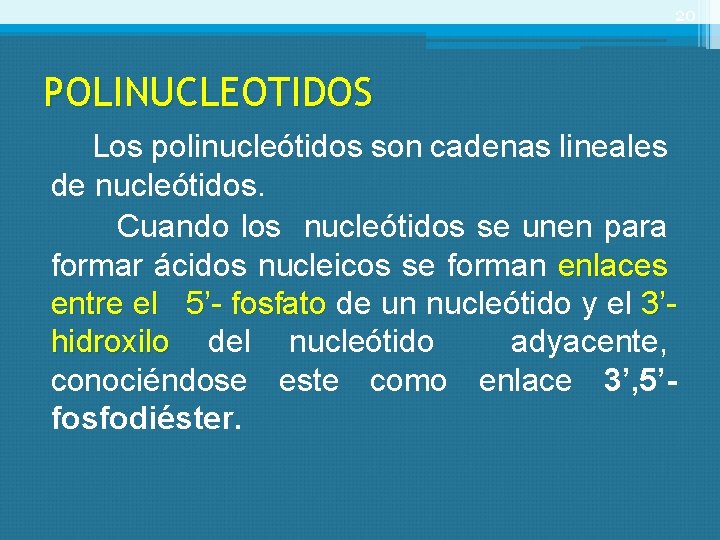 20 POLINUCLEOTIDOS Los polinucleótidos son cadenas lineales de nucleótidos. Cuando los nucleótidos se unen