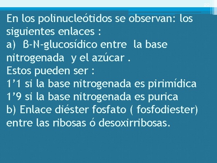 22 En los polinucleótidos se observan: los siguientes enlaces : a) β-N-glucosídico entre la