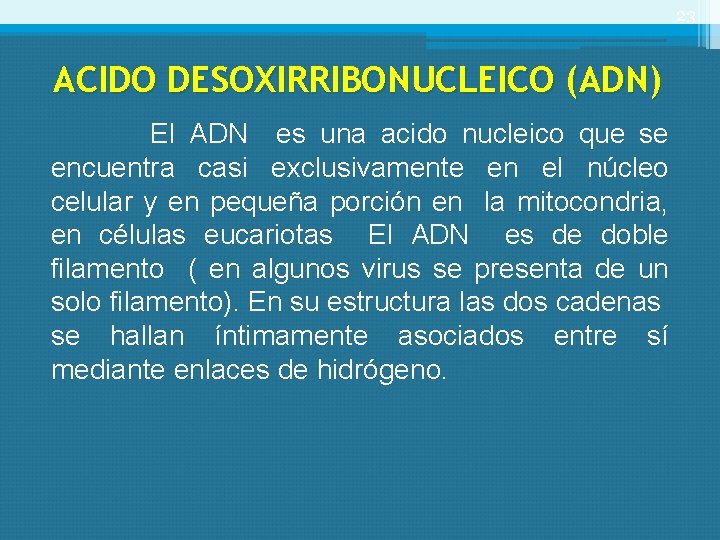 23 ACIDO DESOXIRRIBONUCLEICO (ADN) El ADN es una acido nucleico que se encuentra casi