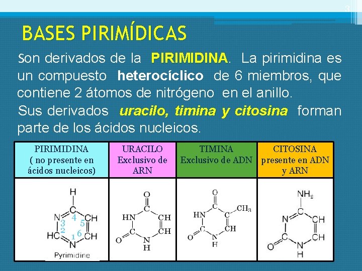 3 BASES PIRIMÍDICAS Son derivados de la PIRIMIDINA La pirimidina es un compuesto heterocíclico