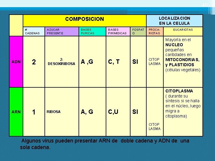 40 LOCALIZACION EN LA CELULA COMPOSICION # CADENAS ADN ARN 2 1 AZUCAR PRESENTE