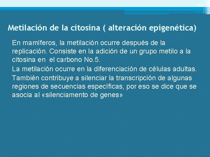 43 Metilación de la citosina ( alteración epigenética) En mamíferos, la metilación ocurre después