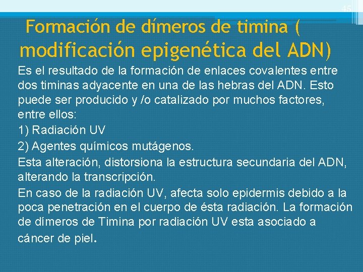 45 Formación de dímeros de timina ( modificación epigenética del ADN) Es el resultado