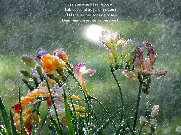 La nature au lit se repose ; Lui, descend au jardin désert Et lace La nature au lit se repose ; Lui, descend au jardin désert Et lace