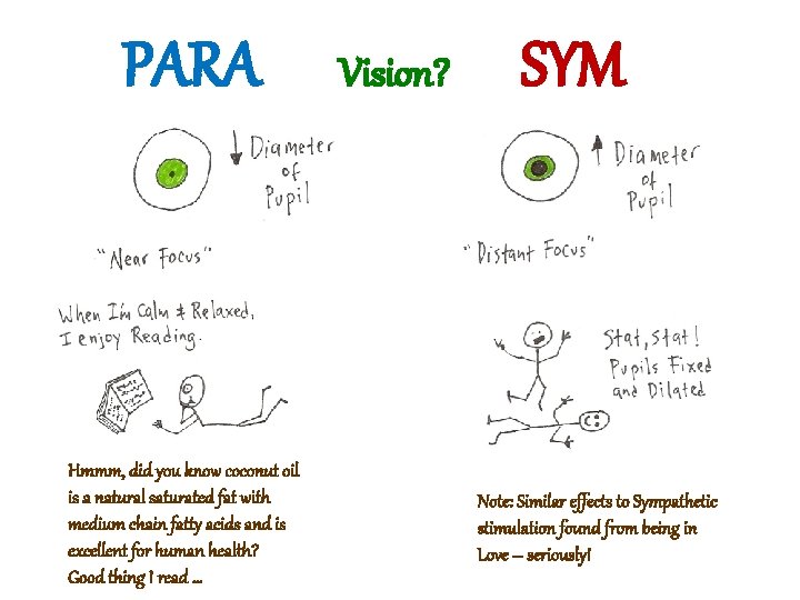 PARA Hmmm, did you know coconut oil is a natural saturated fat with medium