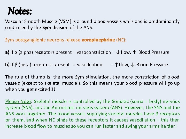 Notes: Vascular Smooth Muscle (VSM) is around blood vessels walls and is predominantly controlled