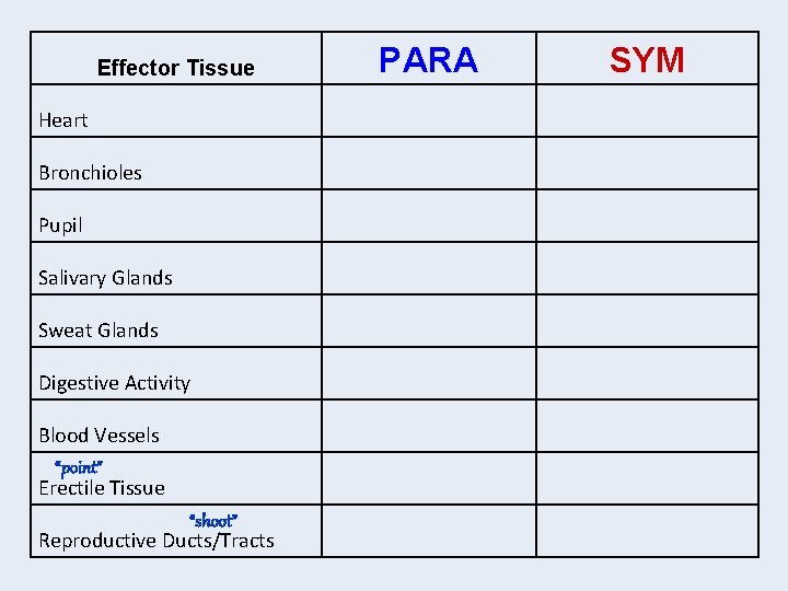PARA Effector Tissue SYM Heart Bronchioles Pupil Salivary Glands Sweat Glands Digestive Activity Blood