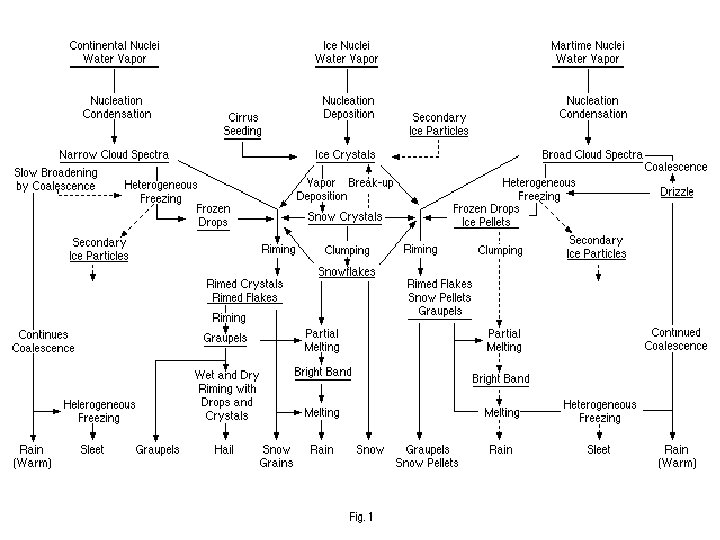 Microphysics Cloud Microphysics Original Materials by Liz Page NWSCOMET