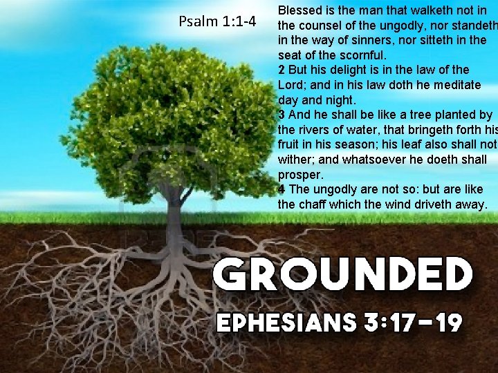 Psalm 1: 1 -4 Blessed is the man that walketh not in the counsel Psalm 1: 1 -4 Blessed is the man that walketh not in the counsel