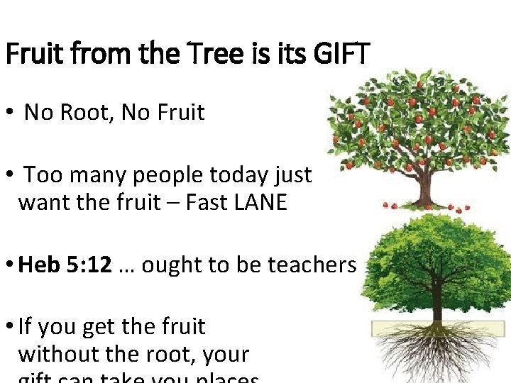 Fruit from the Tree is its GIFT • No Root, No Fruit • Too Fruit from the Tree is its GIFT • No Root, No Fruit • Too