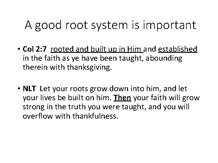A good root system is important • Col 2: 7 rooted and built up A good root system is important • Col 2: 7 rooted and built up