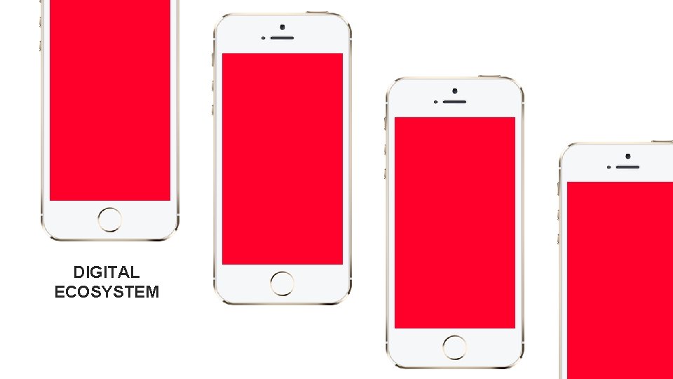 DIGITAL ECOSYSTEM 