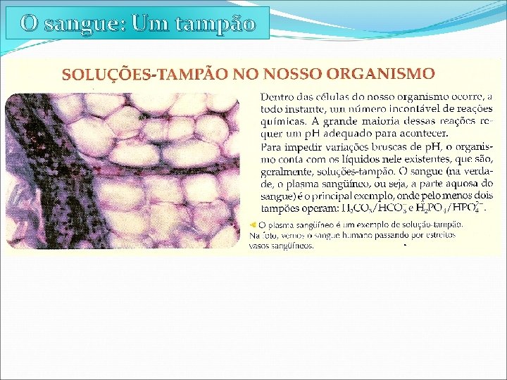 O sangue: Um tampão 