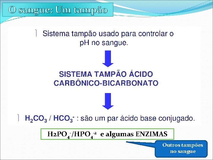 O sangue: Um tampão H 2 PO 4 -/HPO 4 -2 e algumas ENZIMAS