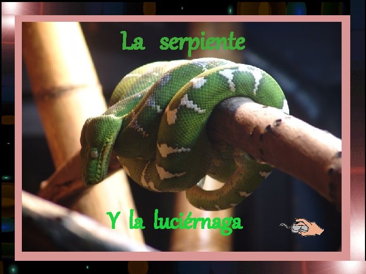 La serpiente Y la luciérnaga 