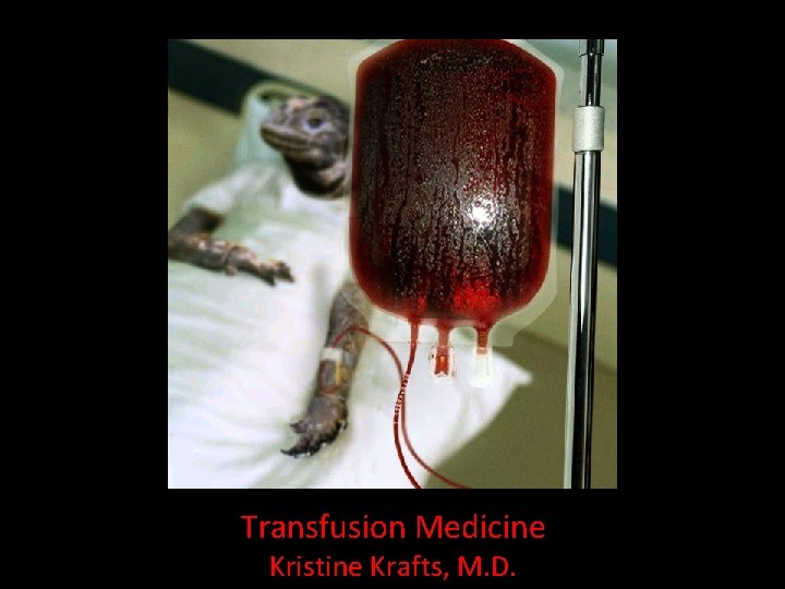 Transfusion Medicine Kristine Krafts, M. D. 