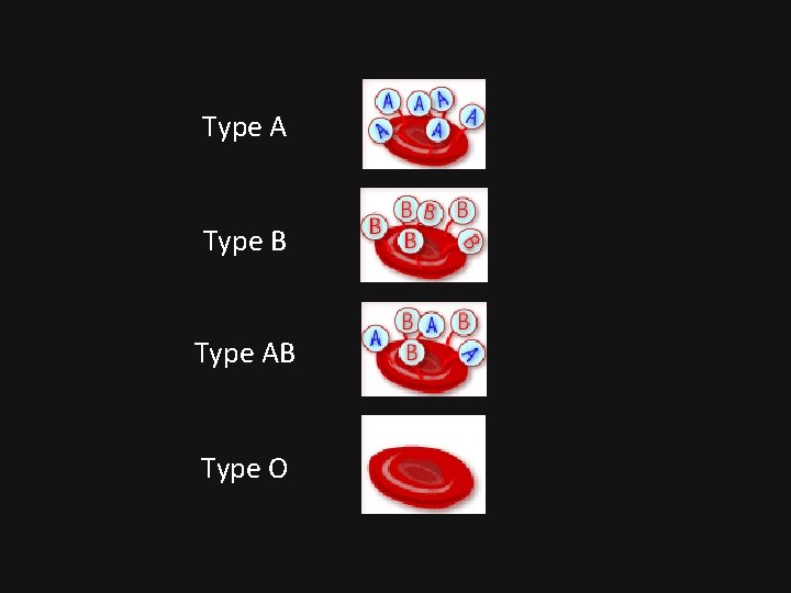 Type A Type B Type AB Type O 