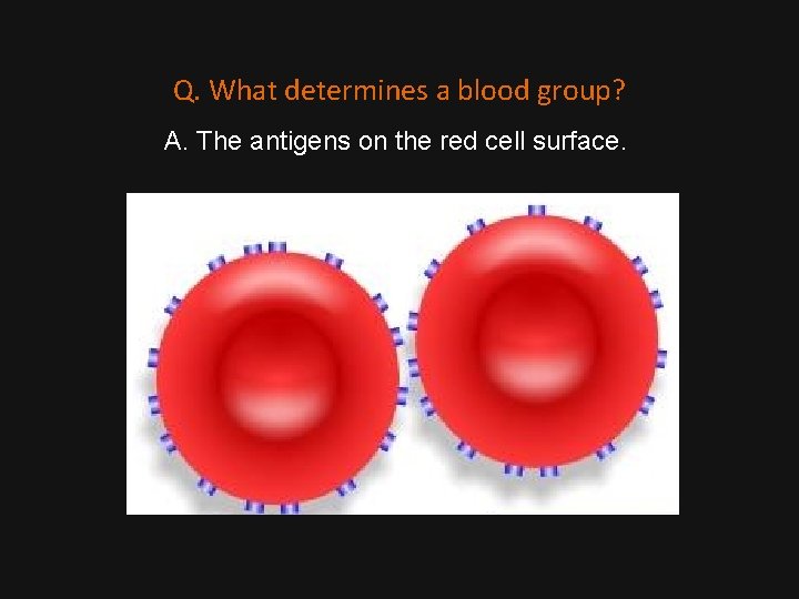 Q. What determines a blood group? A. The antigens on the red cell surface.