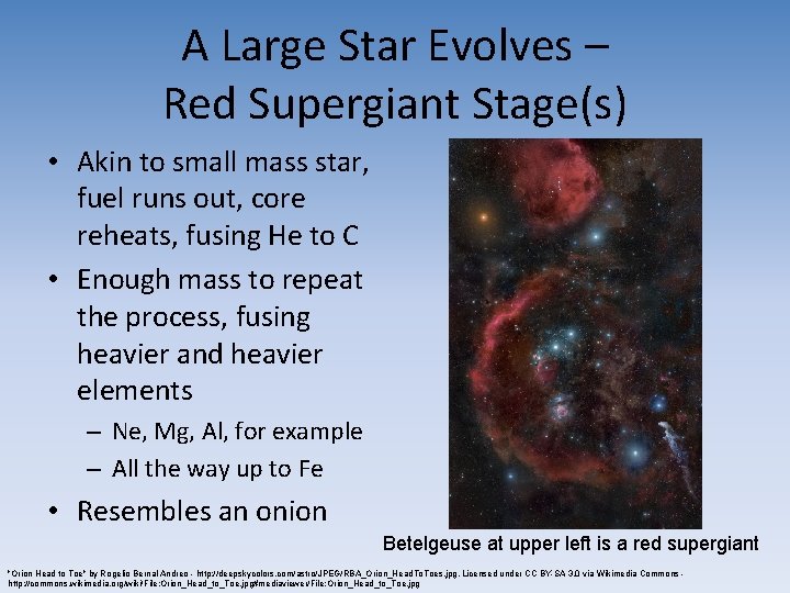 A Large Star Evolves – Red Supergiant Stage(s) • Akin to small mass star,