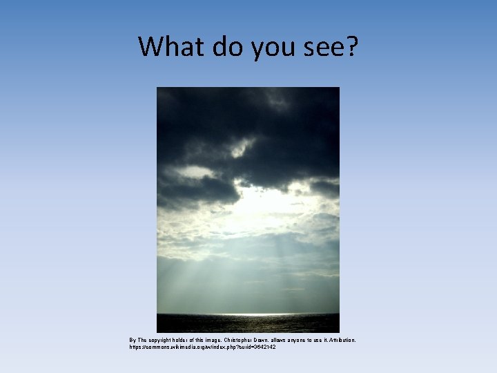 What do you see? By The copyright holder of this image, Christopher Down, allows