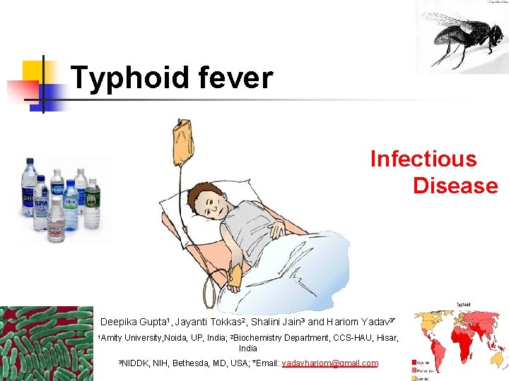Typhoid fever Infectious Disease Deepika Gupta 1, Jayanti Tokkas 2, Shalini Jain 3 and Typhoid fever Infectious Disease Deepika Gupta 1, Jayanti Tokkas 2, Shalini Jain 3 and