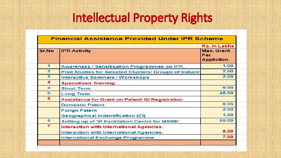 Intellectual Property Rights 