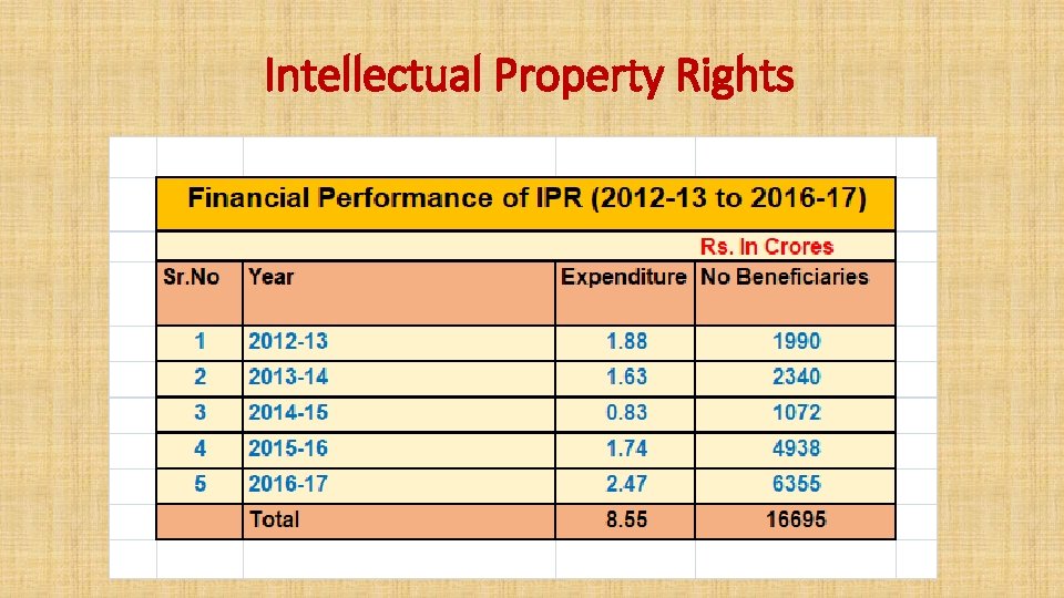 Intellectual Property Rights 