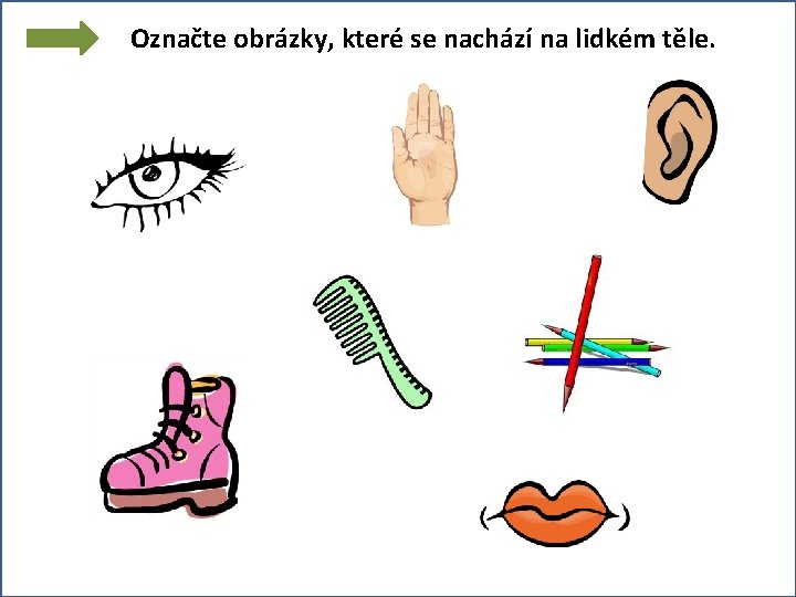 Označte obrázky, které se nachází na lidkém těle. 