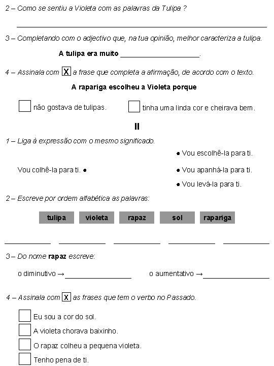 2 – Como se sentiu a Violeta com as palavras da Tulipa ? 3