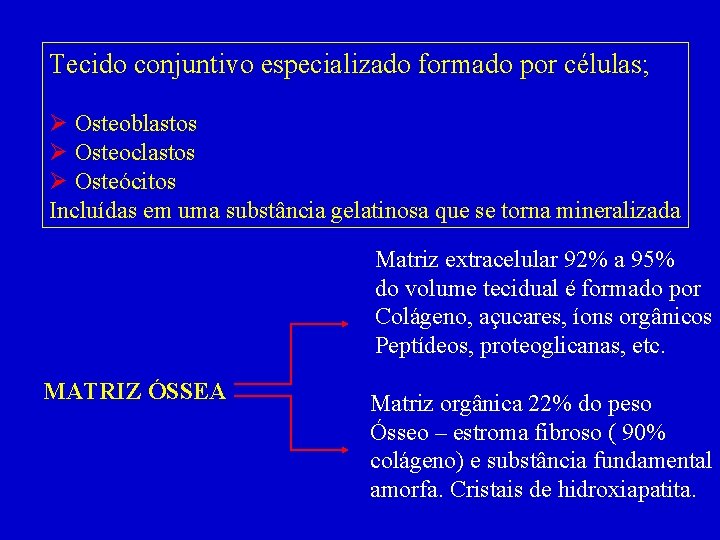 Tecido conjuntivo especializado formado por células; Ø Osteoblastos Ø Osteoclastos Ø Osteócitos Incluídas em