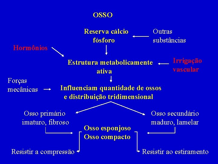 OSSO Reserva cálcio fósforo Hormônios Outras substâncias Estrutura metabolicamente ativa Forças mecânicas Irrigação vascular