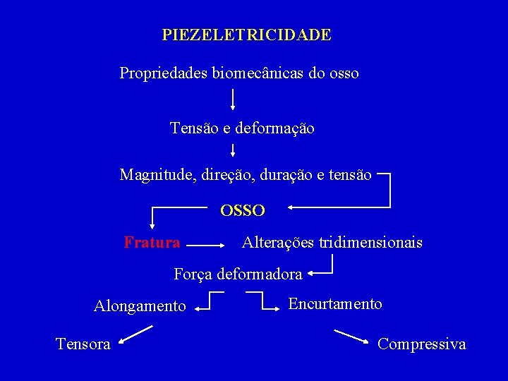PIEZELETRICIDADE Propriedades biomecânicas do osso Tensão e deformação Magnitude, direção, duração e tensão OSSO