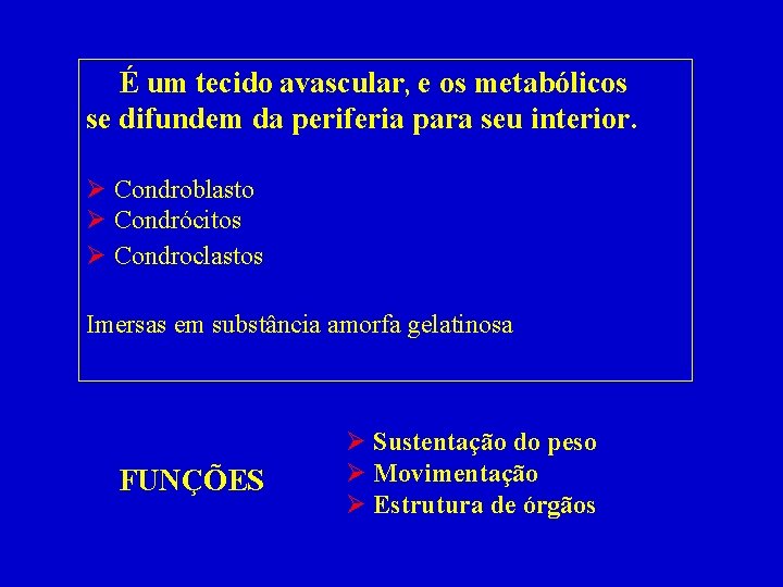 É um tecido avascular, e os metabólicos se difundem da periferia para seu interior.