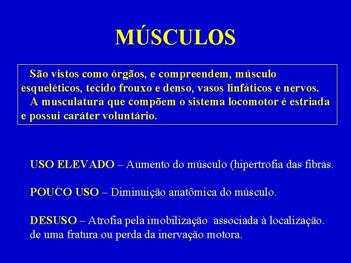 MÚSCULOS São vistos como órgãos, e compreendem, músculo esqueléticos, tecido frouxo e denso, vasos