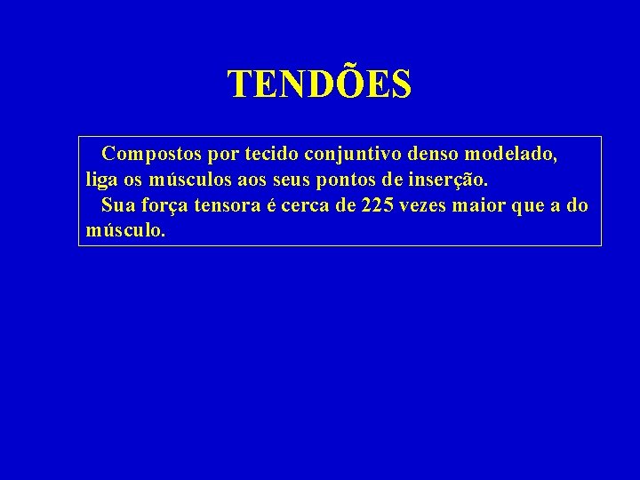 TENDÕES Compostos por tecido conjuntivo denso modelado, liga os músculos aos seus pontos de